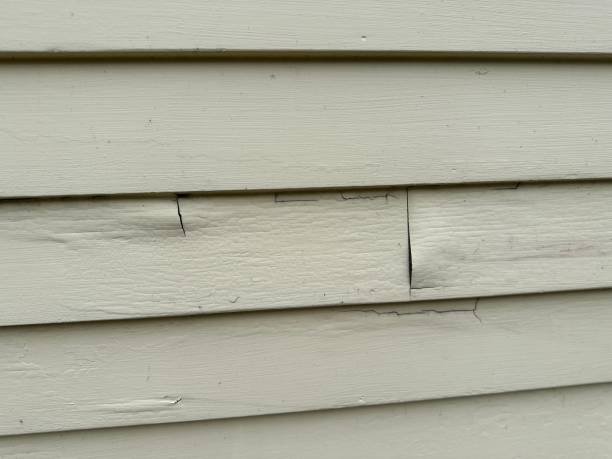 Best Siding Repair  in Springville, VA